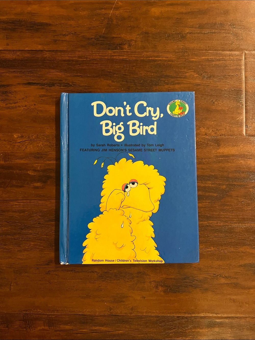 5/$10 Kids Books | Don't Cry, Big Bird - Vintage Book